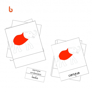 Nessuna immagine impostata 